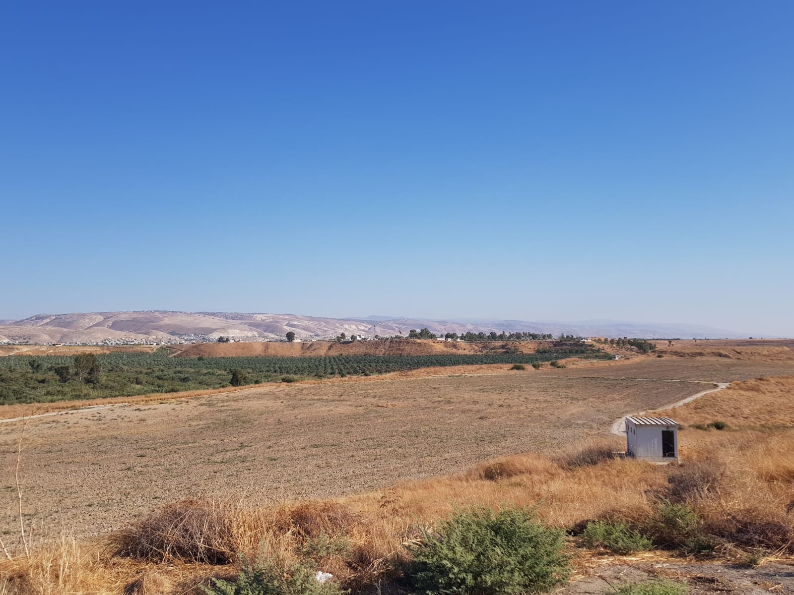 ראש המועצה האזורית עמק הירדן שיגר מכתב למלך ירדן: הוד מעלתך, בוא ניפגש ונגיע להסדר בנוגע לאי השלום