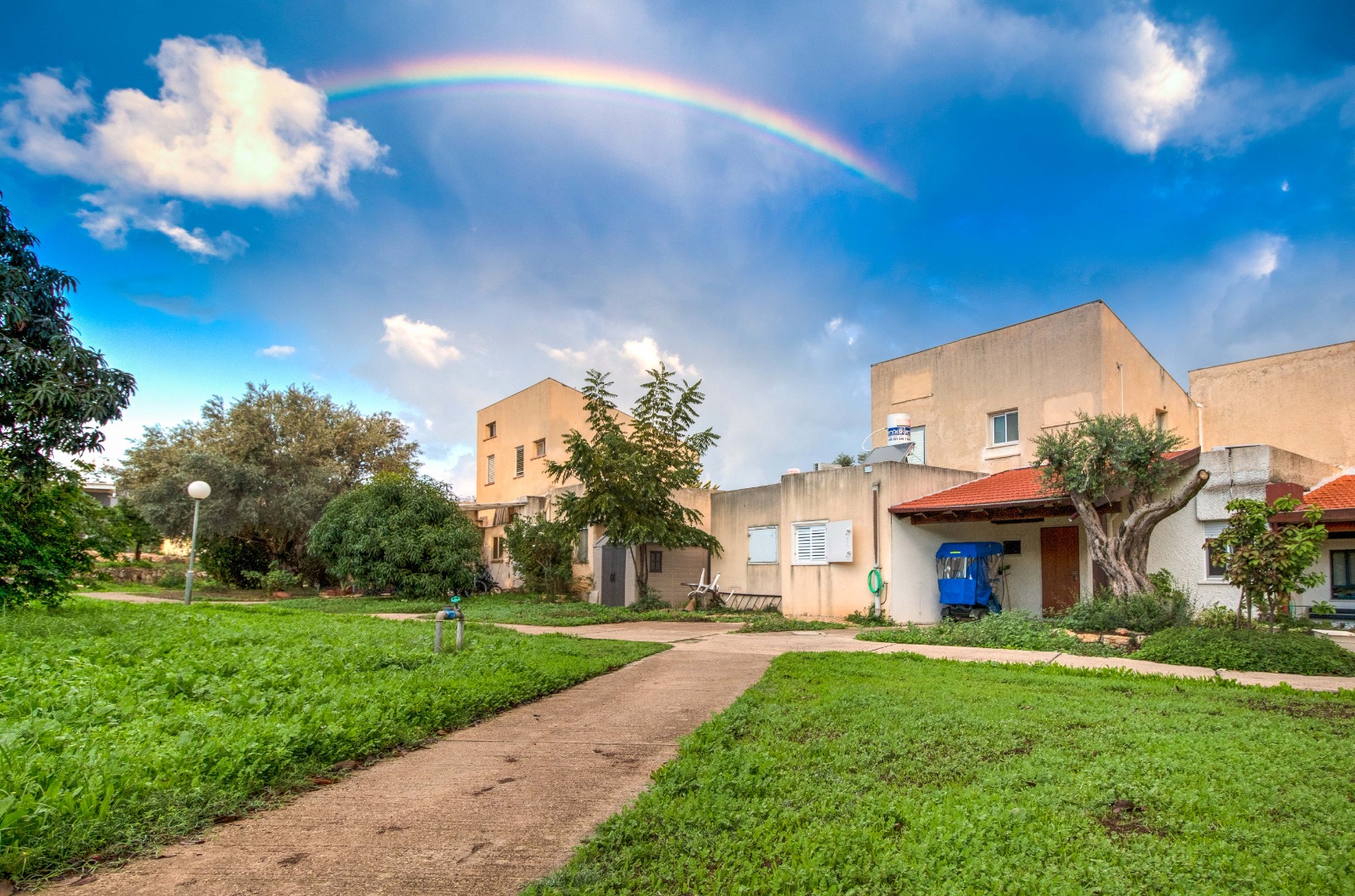 נוף ילדותנו או עתיד ילדינו? צילום: אמיר ירחי, כברי