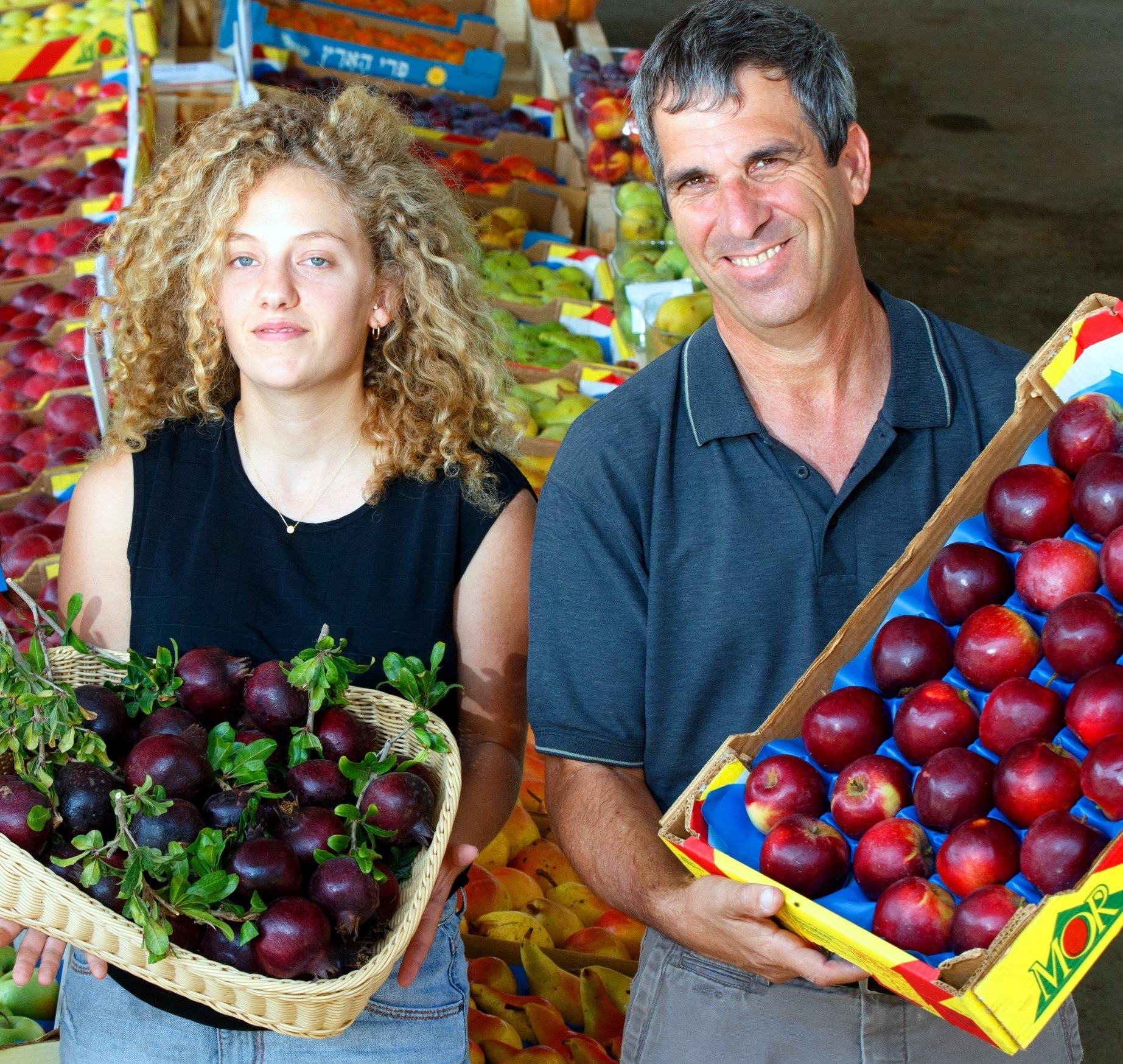 החברה לפיתוח הגליל: יבול התפוח השנה יעמוד על כ- 100 אלף טון