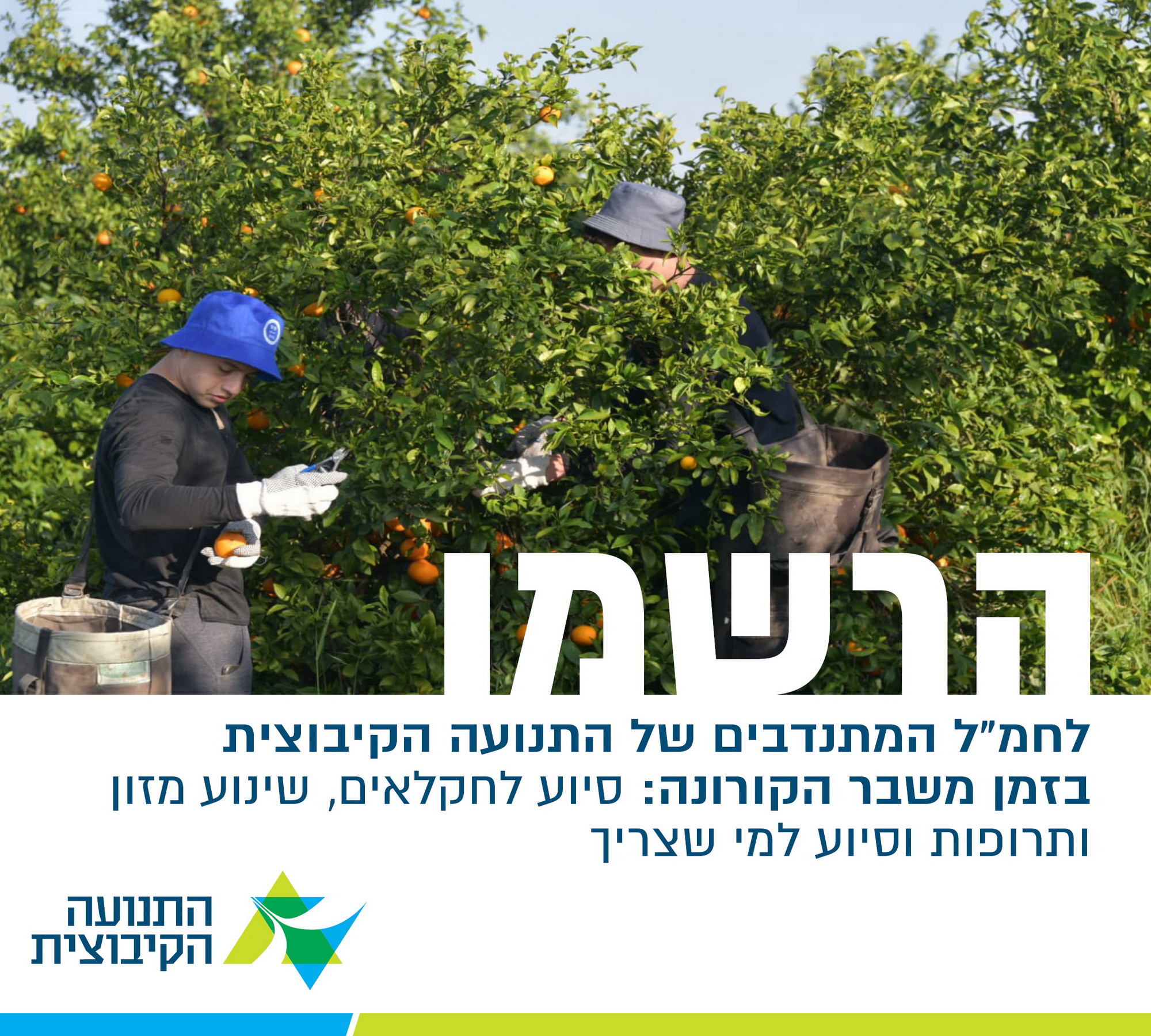 קול קורא להתנדבות לסיוע לנפגעי משבר נגיף הקורונה