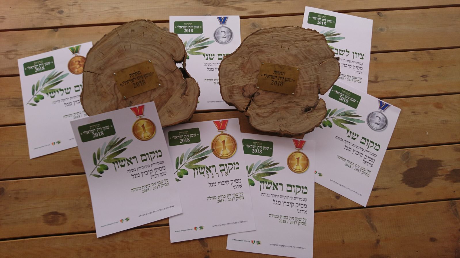 שמני הזית של מסיק קיבוץ מגל - הזוכים הגדולים של תחרות שמן הזית