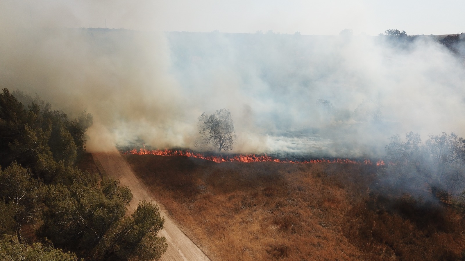 יעל גלנץ מקיבוץ זיקים בטור מיוחד - "אני רואה את נוף ילדותי ונוף הילדות של ילדי נשרף מול עינינו ולאף אחד לא אכפת"