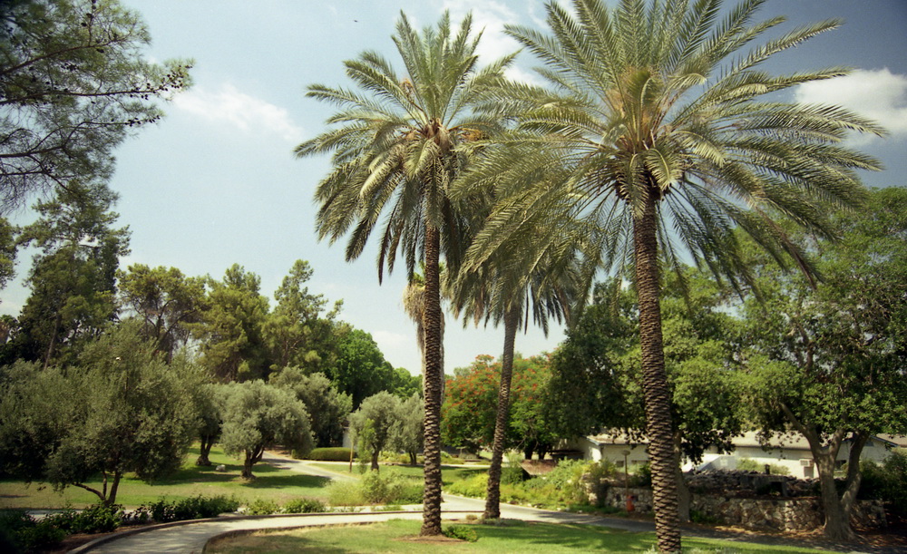 קיבוץ