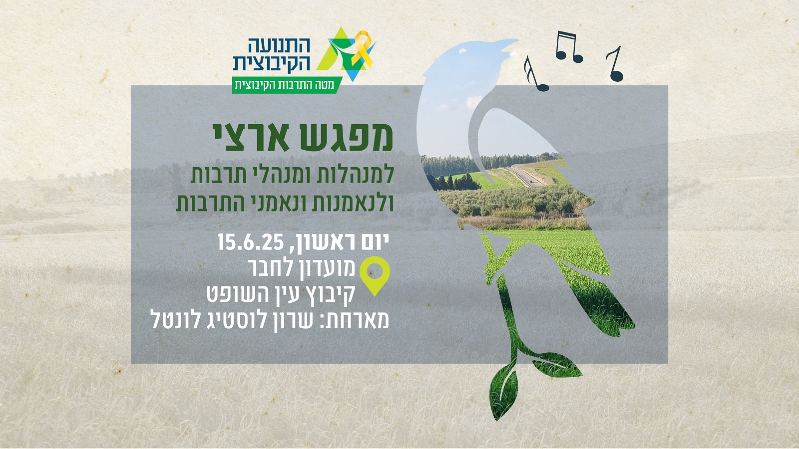 עין השופט