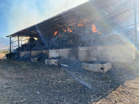 המתבן שהוצת בשניר. צילום: תיעוד מבצעי כבאות והצלה מחוז צפון
