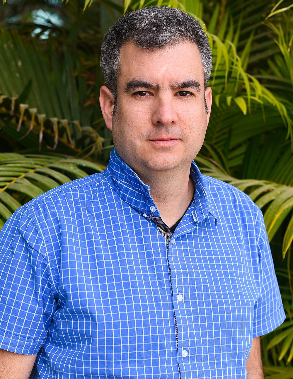 רון ויצנר