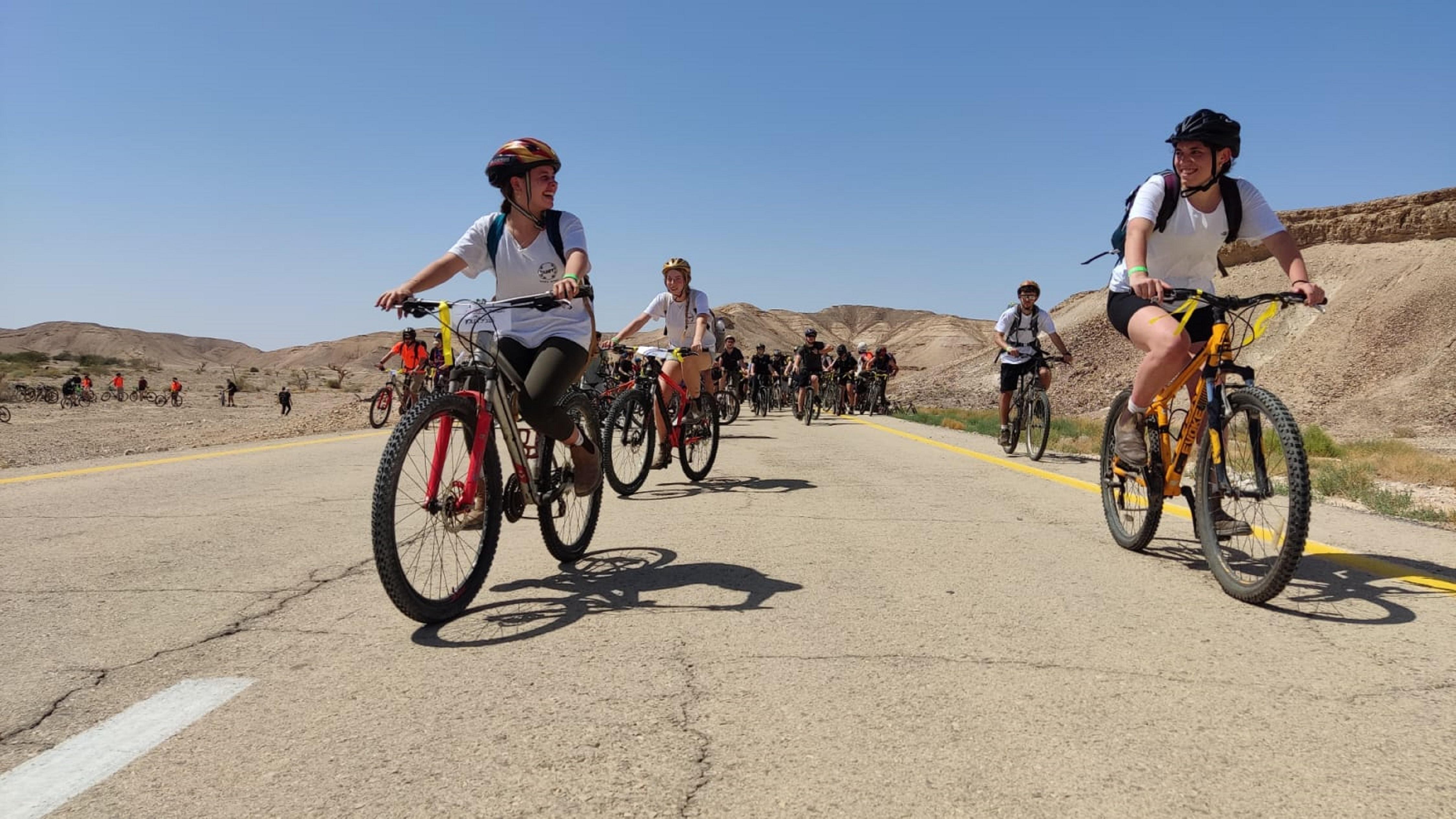 צילום: ניר לביא