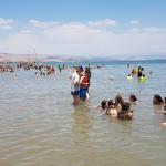 רפסודיה 2018