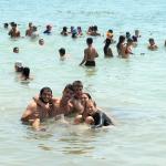 מחזור ב' רפסודיה 2019