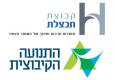 לוגו חבצלת והתנועה