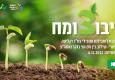 קיבוצומח